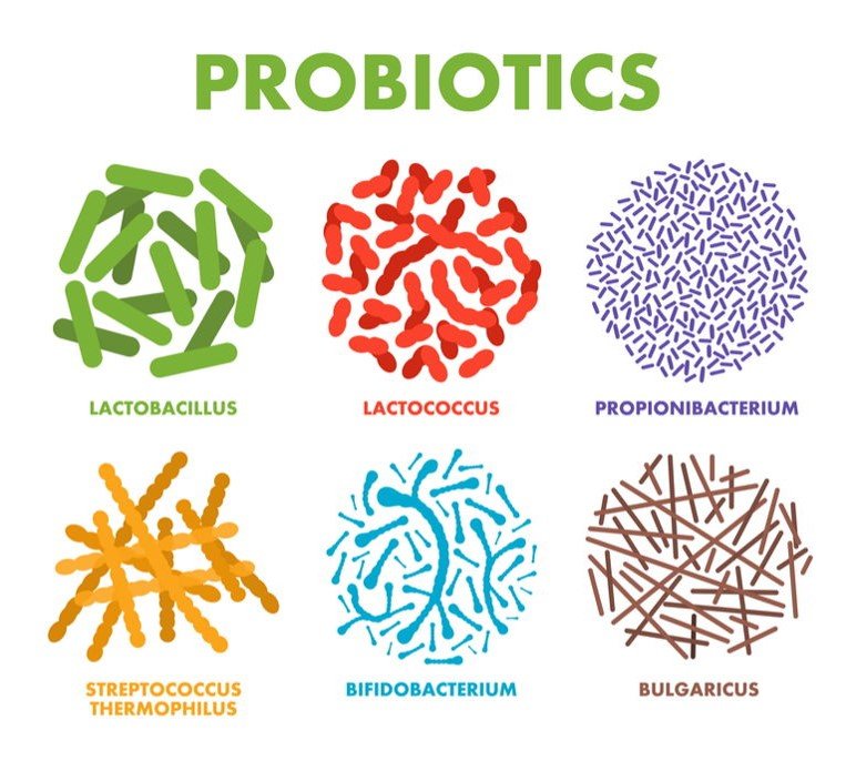 Top 3 Probióticos Mais Vendidos na Amazon em 2025: Os Segredos Para Um Intestino Feliz e Uma Vida Mais Leve